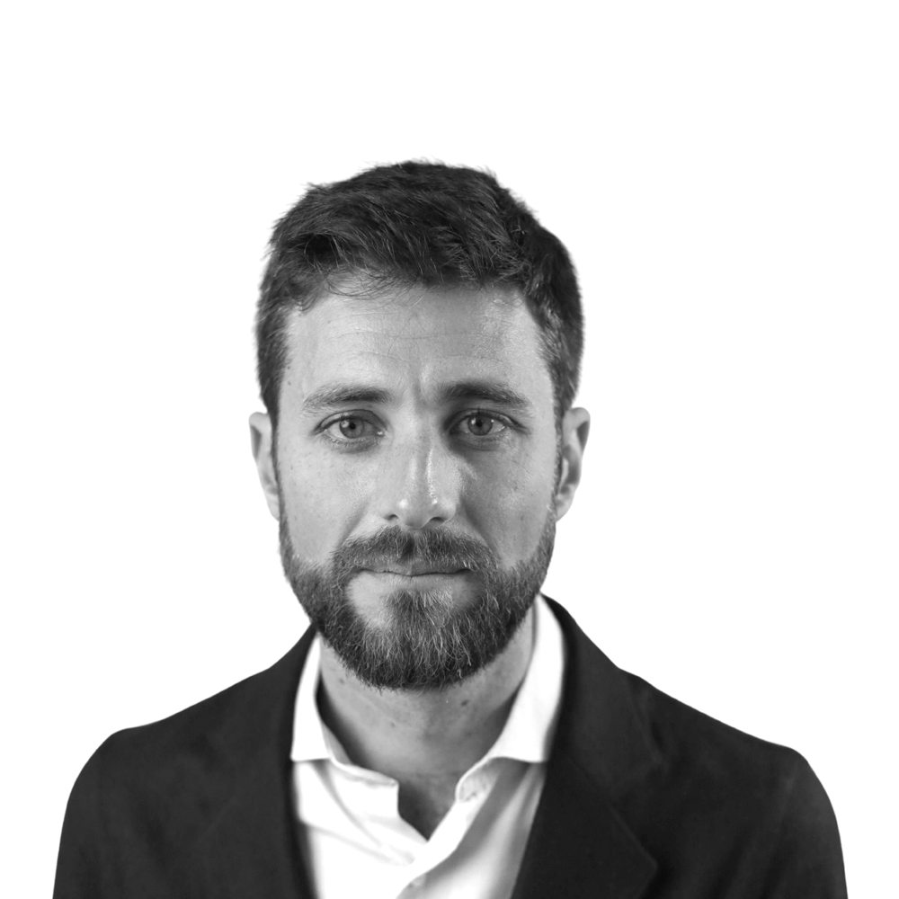 Ugo Taddei, ClientEarth