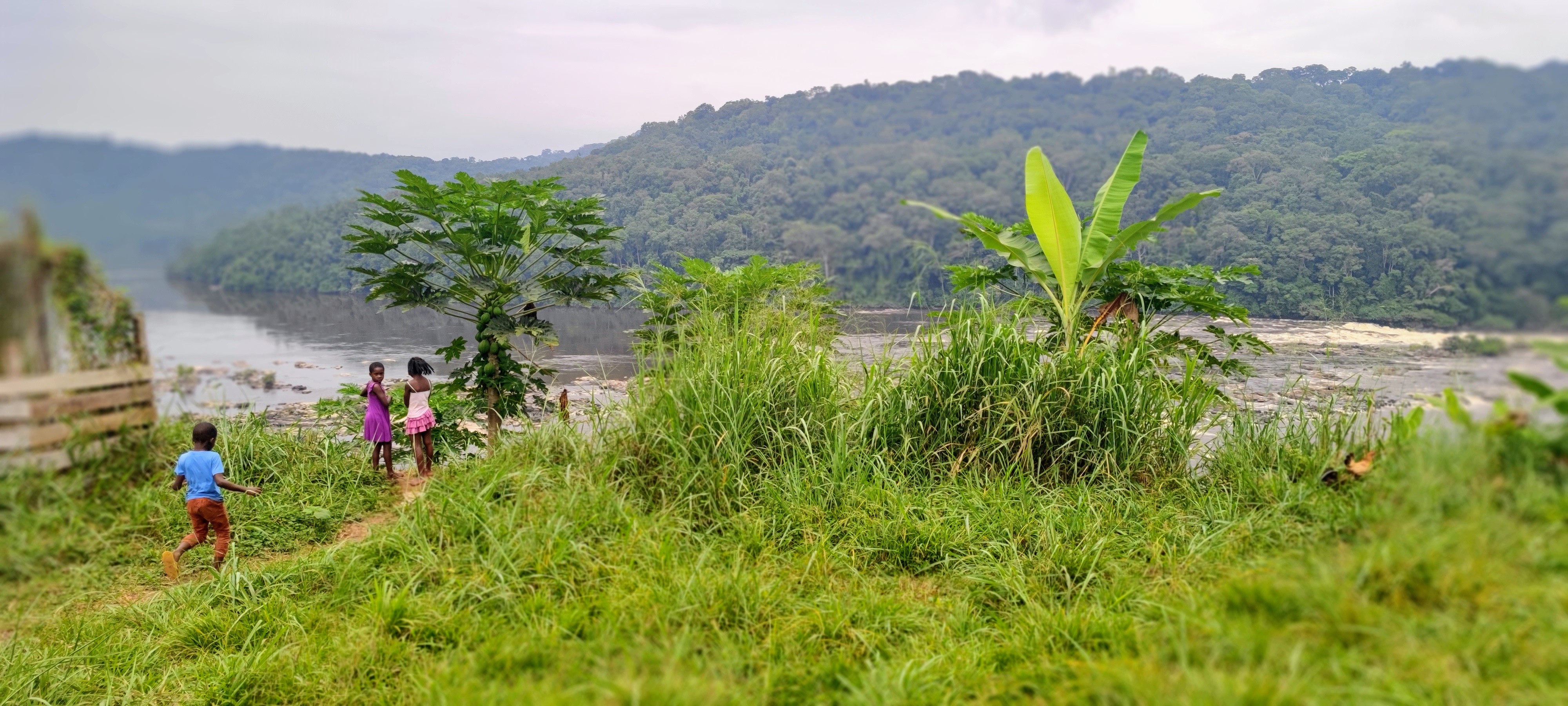 Village of Booué (Ogooué-Ivindo Province, Gabon), children run down to the river
