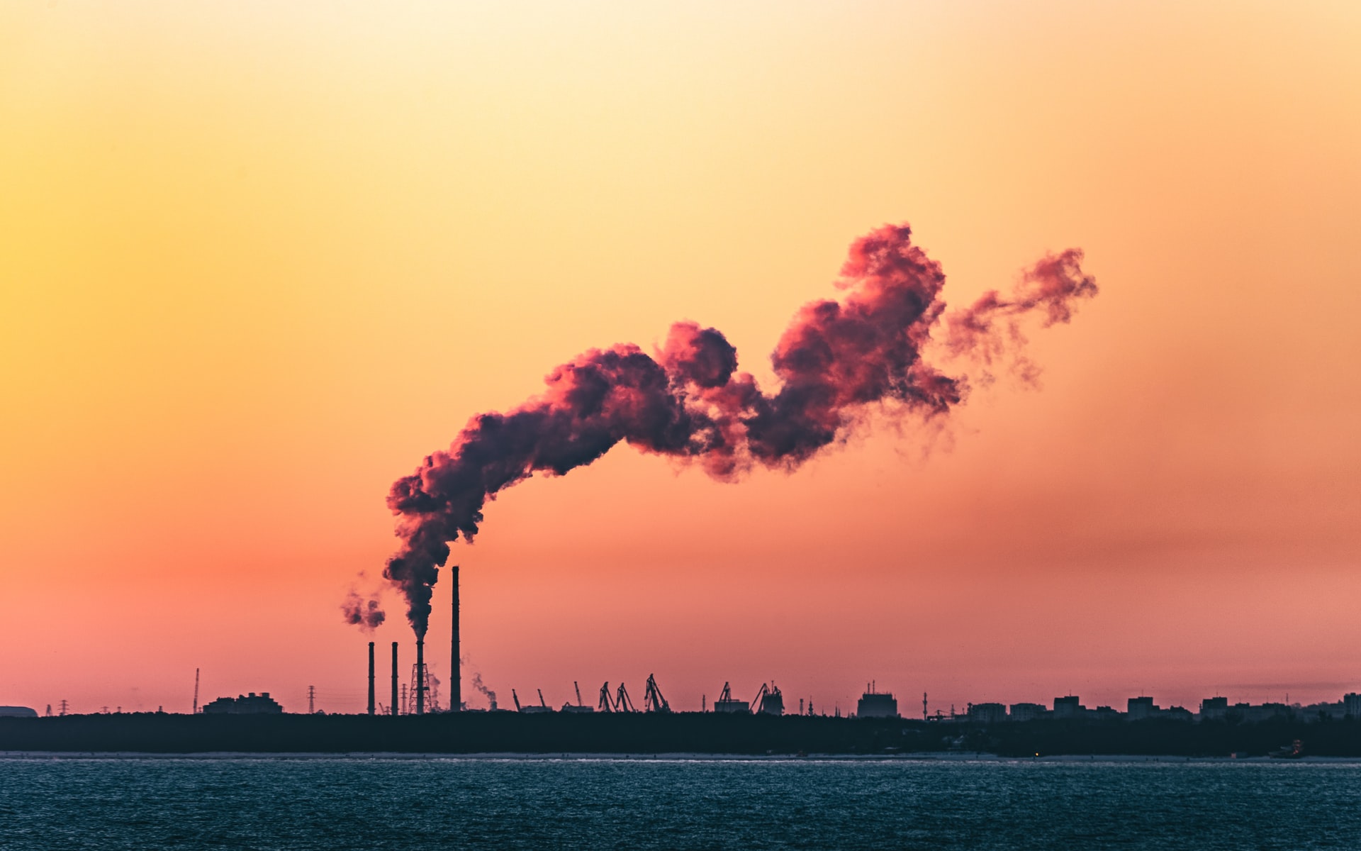 Refinery in Gdańsk, Poland. Photo by Marek Piwnicki via Unsplash