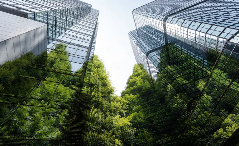Greenwashing und falsche Lösungen