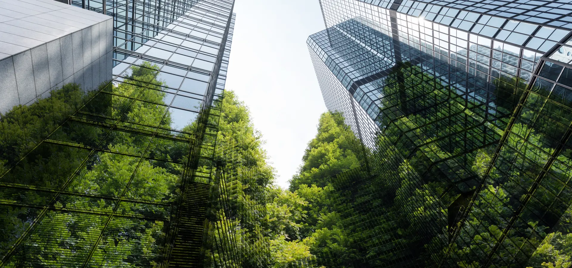 Greenwashing und falsche Lösungen